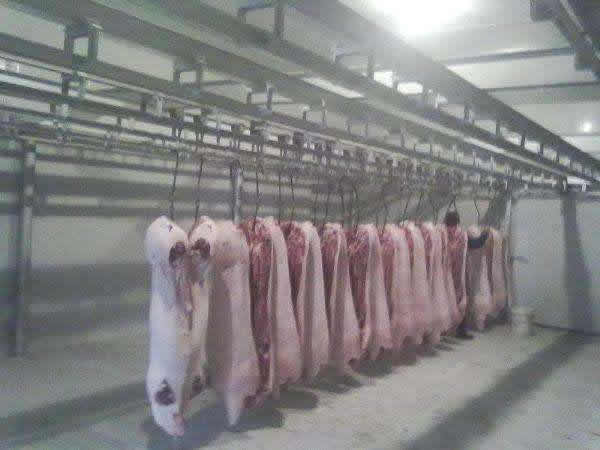 1000噸肉類低溫冷凍庫建造成本需要多少錢？