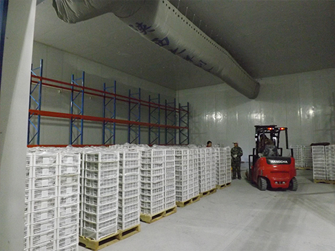 建造食品冷庫 食品冷庫