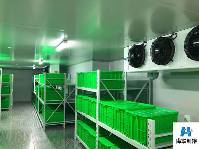 醫(yī)藥冷庫(kù)建造標(biāo)準(zhǔn) 醫(yī)療冷藏庫(kù)溫度要求
