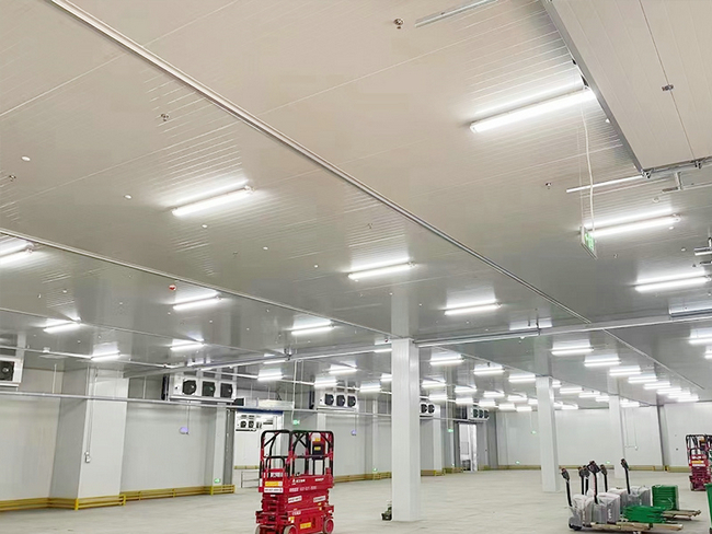 浙江建一個(gè)冷庫(kù)要多少錢