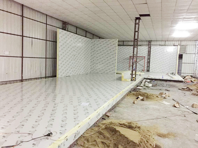 倉(cāng)庫(kù)改造成果蔬冷藏庫(kù)需要多少錢