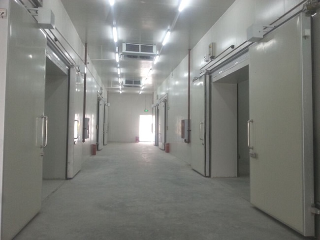 建造一個工業(yè)冷庫成本費用大概多少？