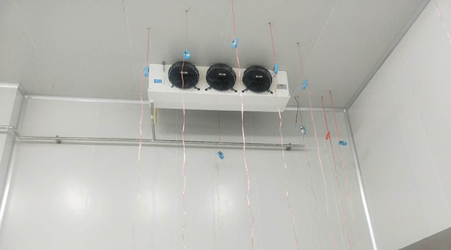 建造個芒果冷庫價格要多少錢？